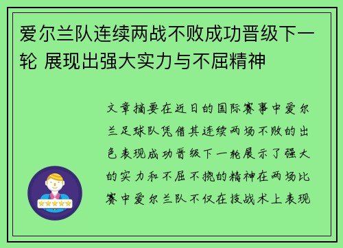 爱尔兰队连续两战不败成功晋级下一轮 展现出强大实力与不屈精神